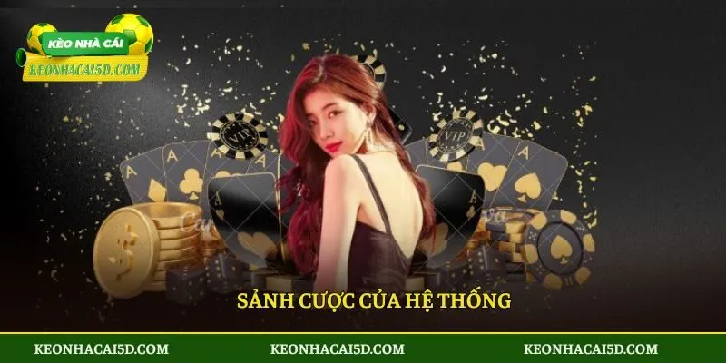 VIN88 - Điểm Giải Trí Hàng Đầu Cho Hội Viên Yêu Cá Cược 4 Sảnh cược của hệ thống