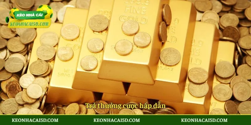 Zowin - Nhà Cái Cá Cược Xanh Chín, Minh Bạch Và Chất Lượng 2 Trả thưởng cược hấp dẫn
