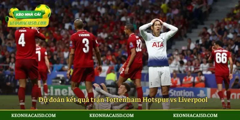 Soi Kèo Trận Đấu Tottenham Hotspur Vs Liverpool 0h30 Sáng Ngày 21/12 Của Giải Đấu Ngoại Hạng Anh 3 Dự đoán kết quả trận Tottenham Hotspur vs Liverpool lúc 0h30 ngày 21/12/2025