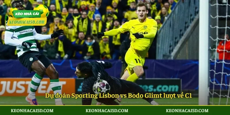 Soi Kèo trận đấu Sporting Lisbon vs Bodo Glimt 00h45 ngày 18/3 4 Dự đoán Sporting Lisbon vs Bodo Glimt lượt về C1