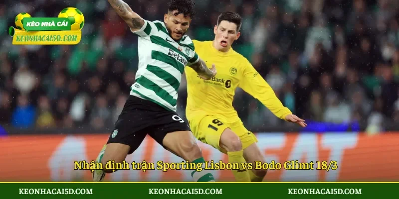 Soi Kèo trận đấu Sporting Lisbon vs Bodo Glimt 00h45 ngày 18/3 3 Nhận định trận Sporting Lisbon vs Bodo Glimt