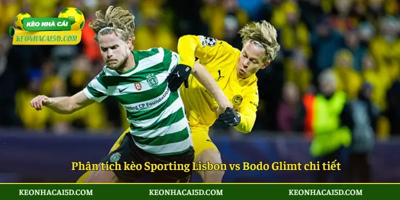 Soi Kèo trận đấu Sporting Lisbon vs Bodo Glimt 00h45 ngày 18/3 2 Phân tích kèo Sporting Lisbon vs Bodo Glimt chi tiết
