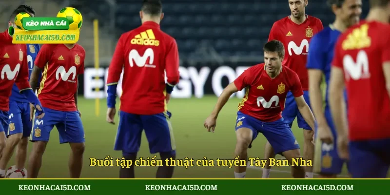 Danh Sách Tuyển Tây Ban Nha Tham Dự Mùa World Cup 2026 3 Buổi tập chiến thuật của tuyển Tây Ban Nha