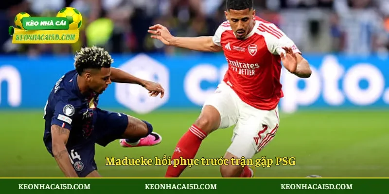 Madueke Kịp Bình Phục Trước Chung Kết Champions League 2 Madueke hồi phục trước trận gặp PSG