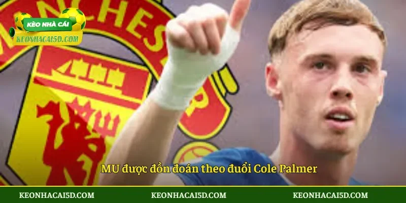 MU được đồn đoán theo đuổi Cole Palmer