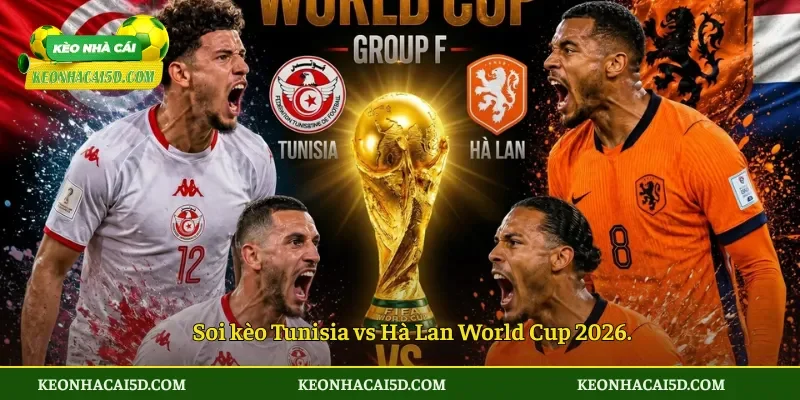 Soi kèo Tunisia vs Hà Lan World Cup 2026.