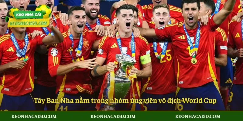 Danh Sách Tuyển Tây Ban Nha Tham Dự Mùa World Cup 2026 4 Tây Ban Nha nằm trong nhóm ứng viên vô địch World Cup